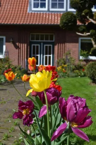Ferienwohnung Zinne-Wigger in Steimbke, Deutschland
