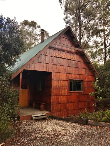 Lanceolata Double Cabin