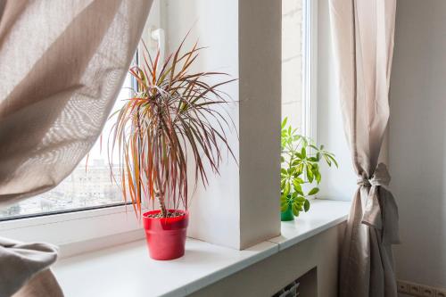 RentalSPb Apartment na Moskovskom prospekte