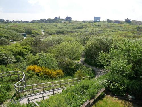 Huize de Duinen