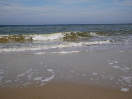 Huize de Duinen - image 8