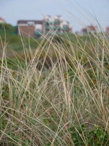 Huize de Duinen