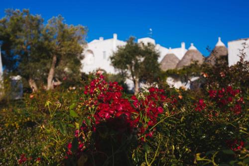 Masseria Cervarolo – Ostuni, AR