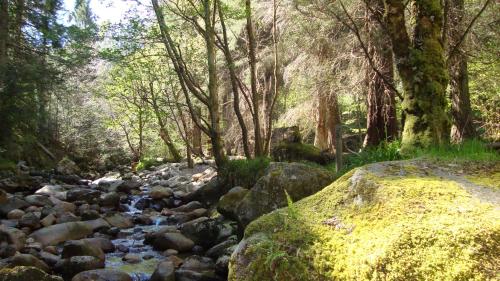 Фотография номера гостевого дома The Glen