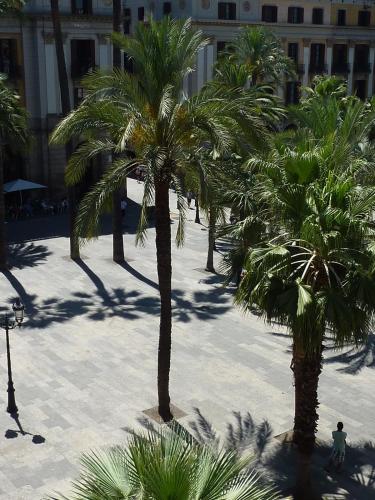 Roma Reial - image 13