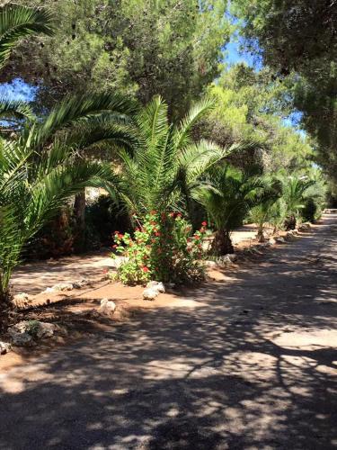 Camping Cala dei Ginepri 3