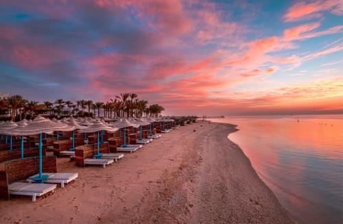 Beach, Marina Resort Port Ghalib Radisson Individuals in Qesm Marsa Alam