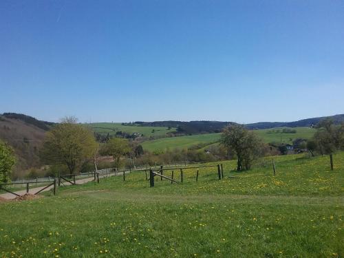 Zur schönen Aussicht - Apartment - Hellenthal