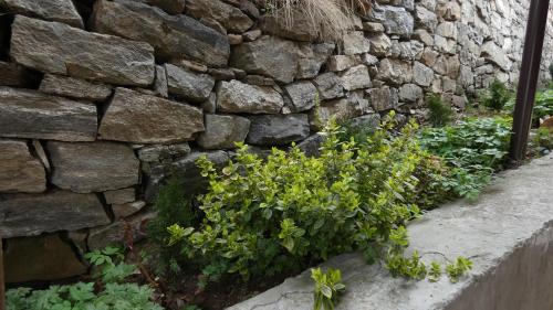 Guest House Chepelare - image 3