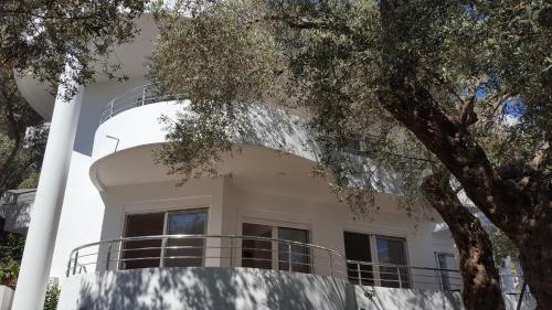 Apartments Sirena 3