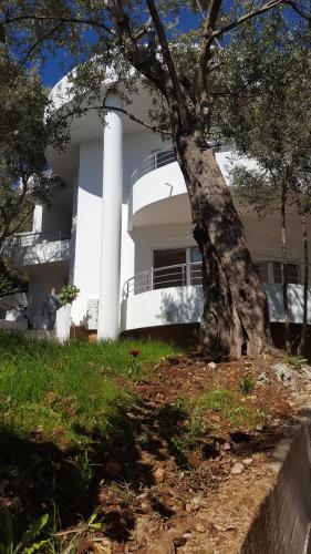 Apartments Sirena 5