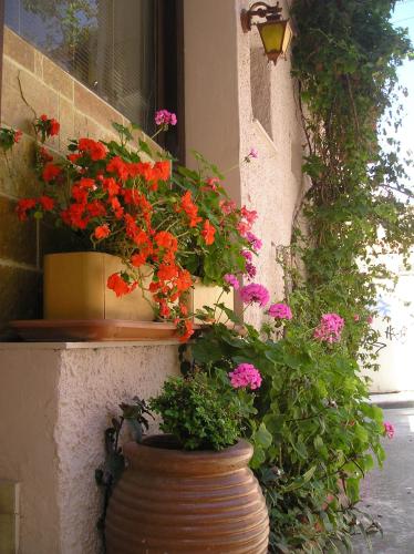 Tina Hotel - image 8