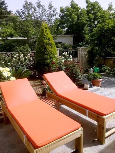 Garden, Artemisia Traditional Home in Nikos Kazantzakis