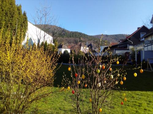Brockenferien - Apartment - Bad Harzburg