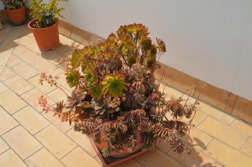 Apartamento El Mirador de Cadiz