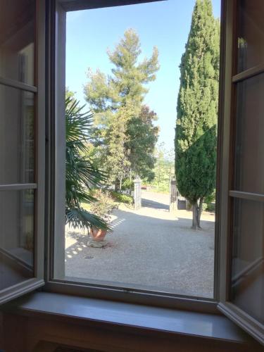 Villa Ducci - image 11