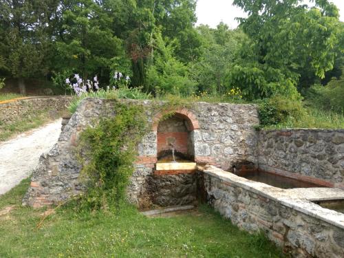  Podere Pancoli in Massa Marittima