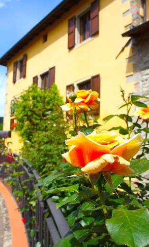 Villa "Corte de' Baldi"