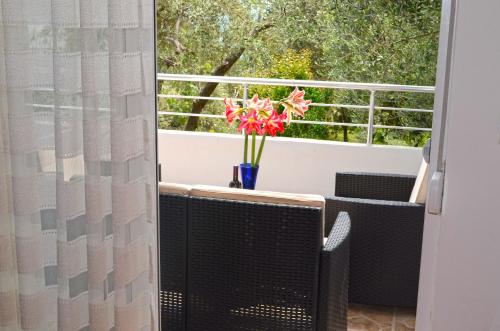 Apartments Sirena 4
