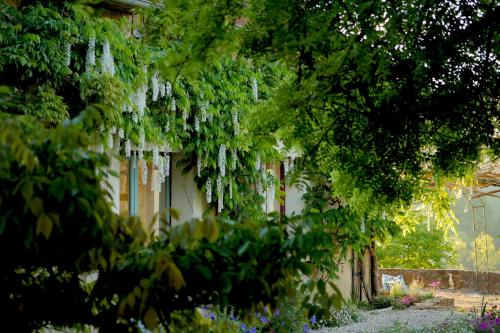 Chambres d'Hôtes Secret Pyrenées