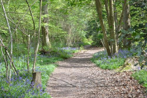 The Kingsley at Eversley