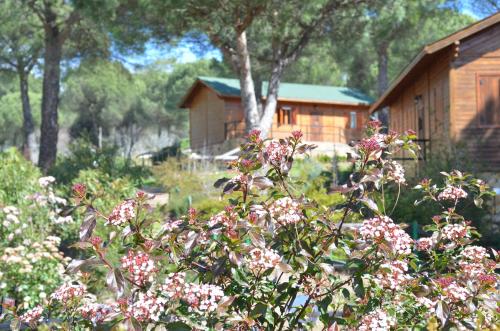 Apartamentos Paraje San Gines