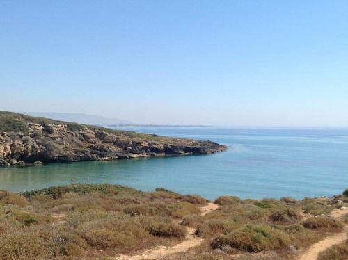 Agriturismoeloropizzuta - Photo 4