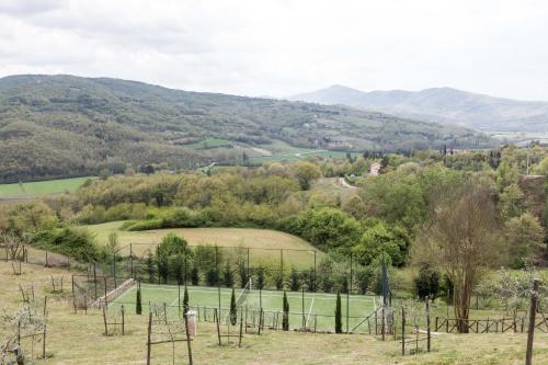 Casa Uliveto in Molino Vitelli