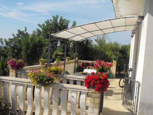 Agriturismoeloropizzuta - Photo 2