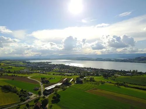 Ferienwohnung Burg Murten in Murten, Schweiz