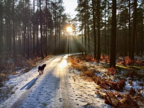 Surrounding environment, Fewo Auszeit Schwanow in Hoppegarten