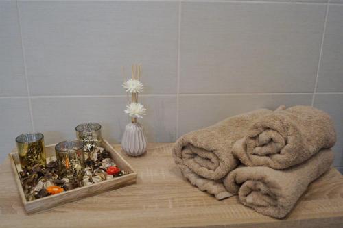 Spacious Evergreen Apartment in the heart of Budapest - image 7