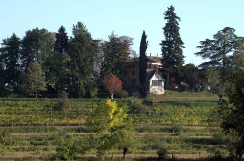  Casali del Picchio - Winery, Cividale del Friuli bei Montemaggiore