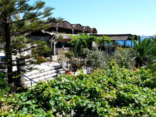 Hotel Golden Sun - image 14