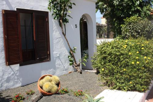 La Concha del Mar - image 7