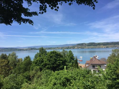 Ferienwohnung Burg Murten photo 3