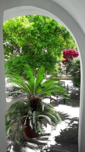 Back to Sorrento, Sant'Agnello