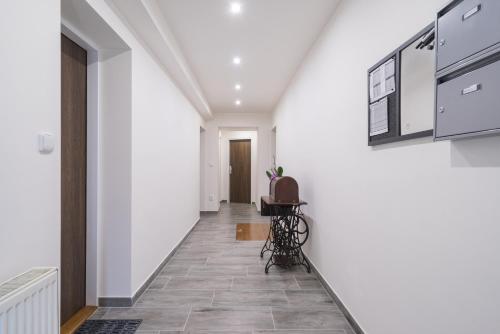 Čajkovskij Apartments Brno-jih - image 12