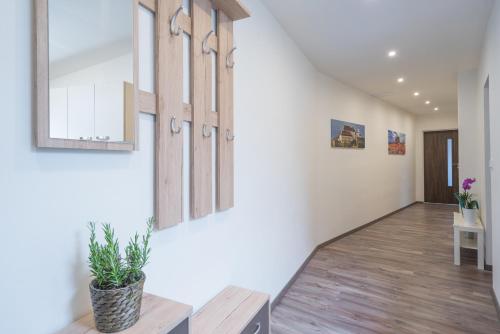 ร้านค้า, Cajkovskij Apartments Brno-jih in ตูรานี