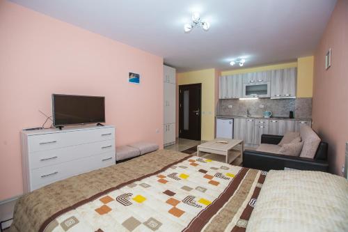 Studio Apartment
