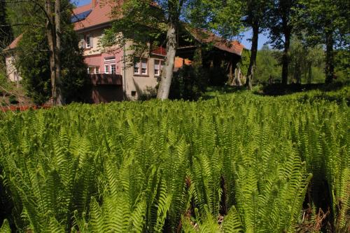 Ferienwohnungen Reichholdsmühle