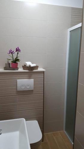 Apartments Iva - image 8