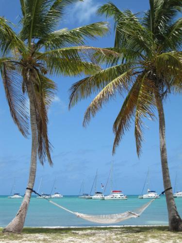 Anegada Reef Hotel