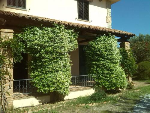 Hotels Image