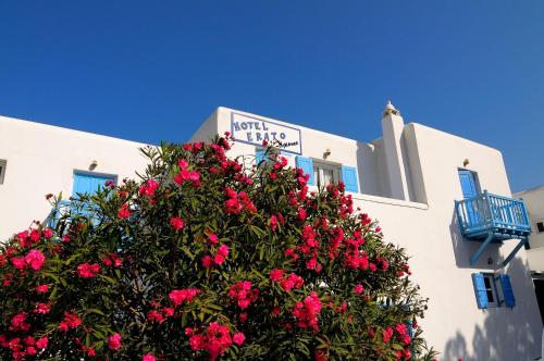 Erato Hotel Mykonos - image 2