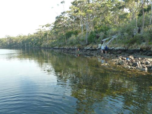 Oyster Shack in Surrounds