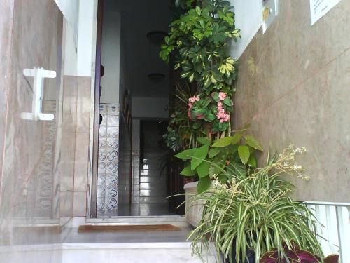 Casa Sousa 4