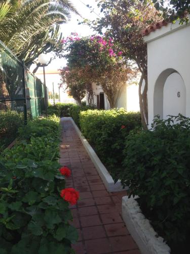 La Concha del Mar - image 11