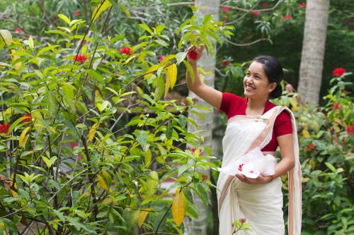 The Travancore Heritage Beach Resort