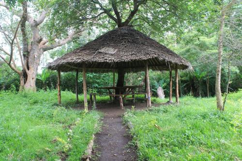 Shamba Hostel